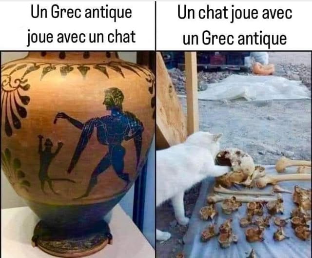 image drole chat et antiquite